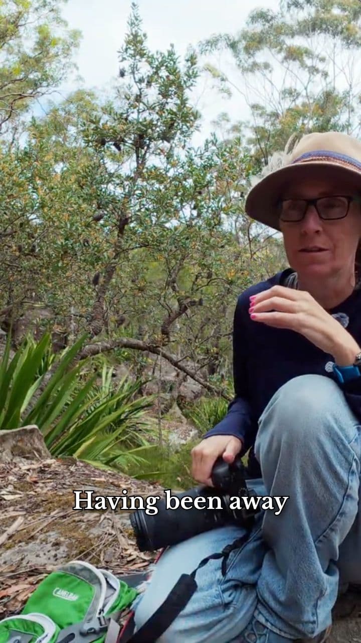 Coming Home Awakens the Senses