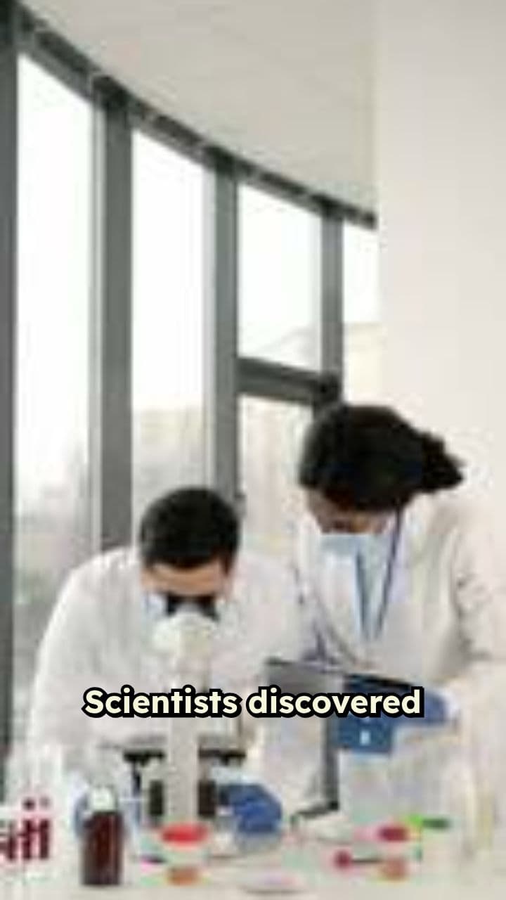 Why Honey Never Spoils