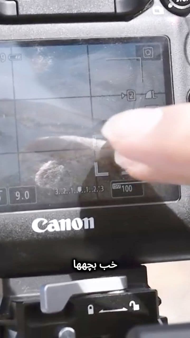 مراحل عکاسی برای تکنیک فوکوس استکینگ