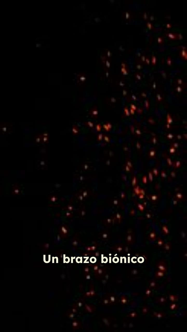 Renacimiento Biónico