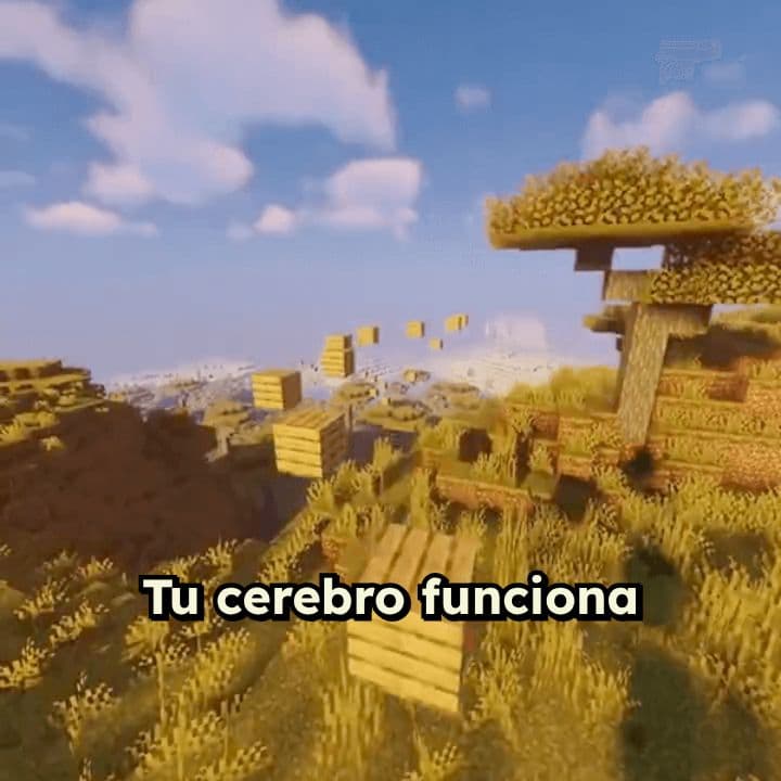 Arquitecto de tu mente en Minecraft