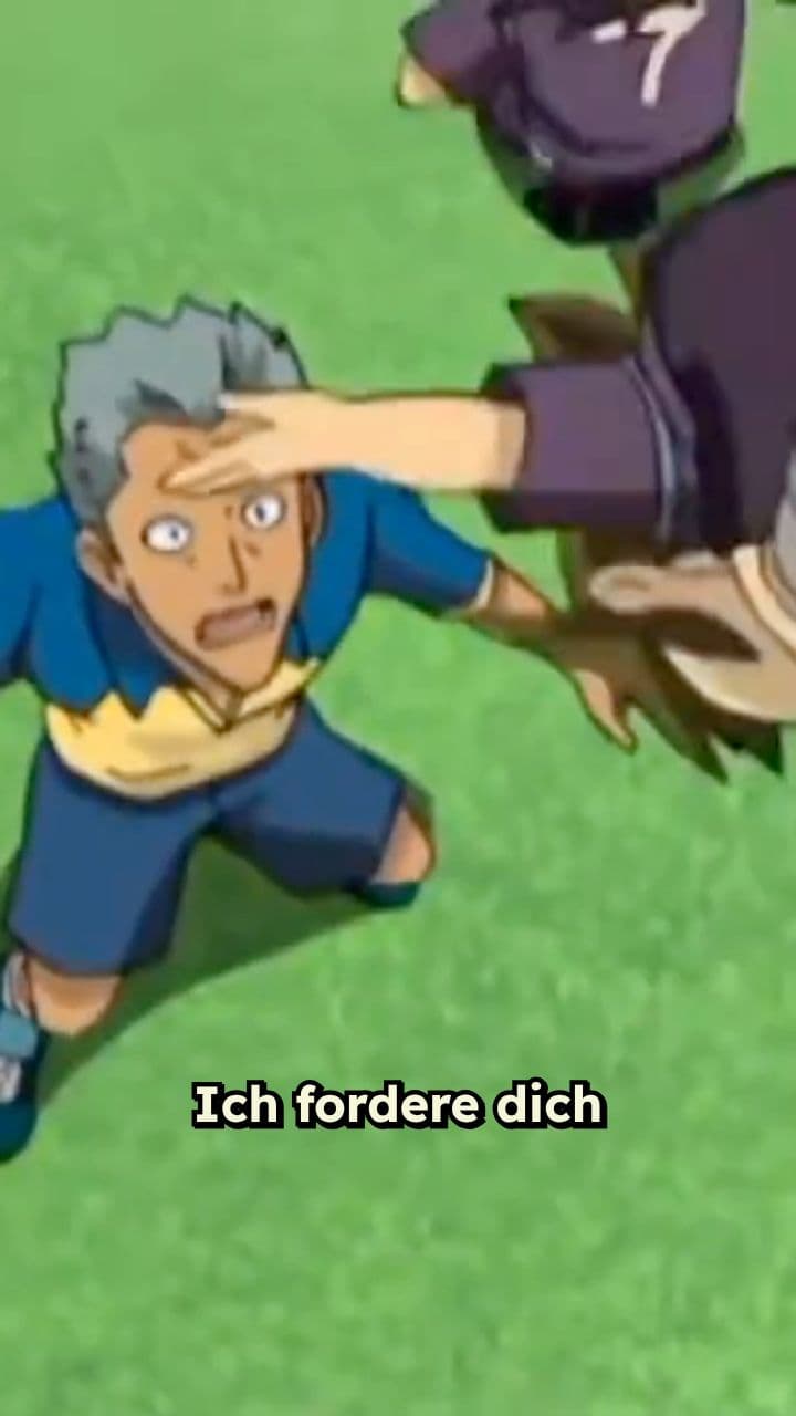 Die Herausforderung des Ninjas