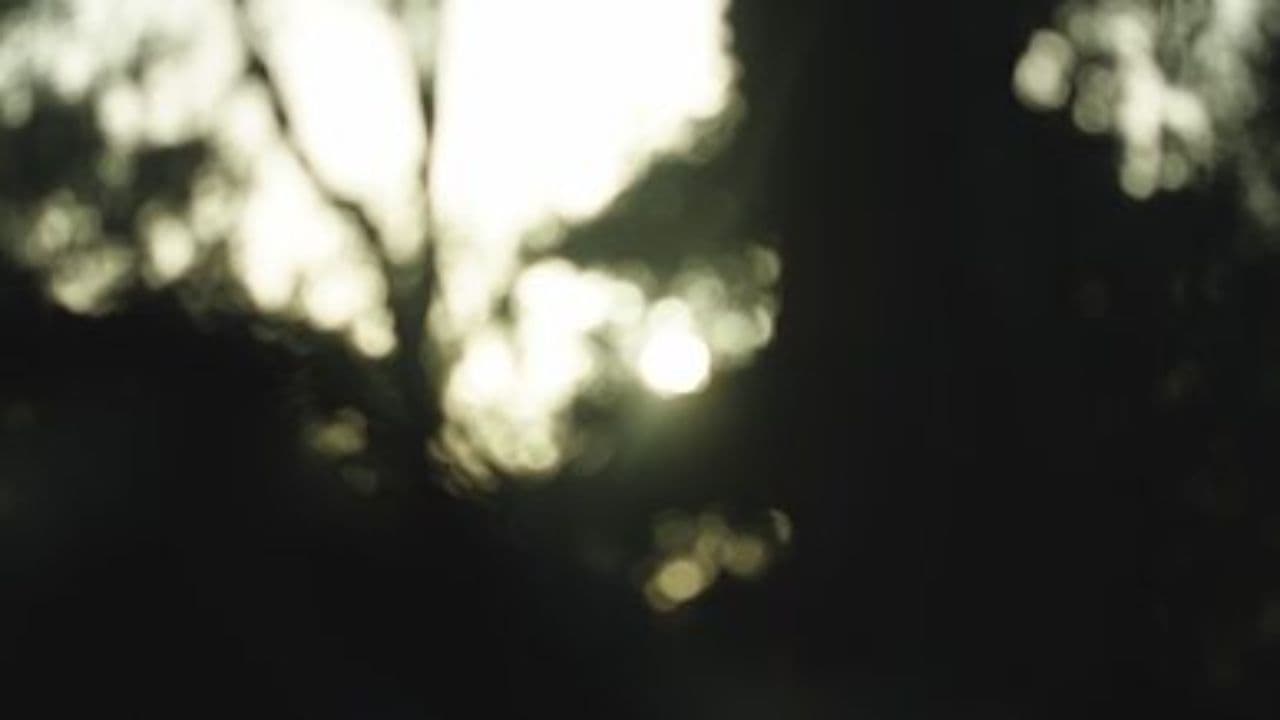 Şems-i Kameri Tevhid Yolculuğu