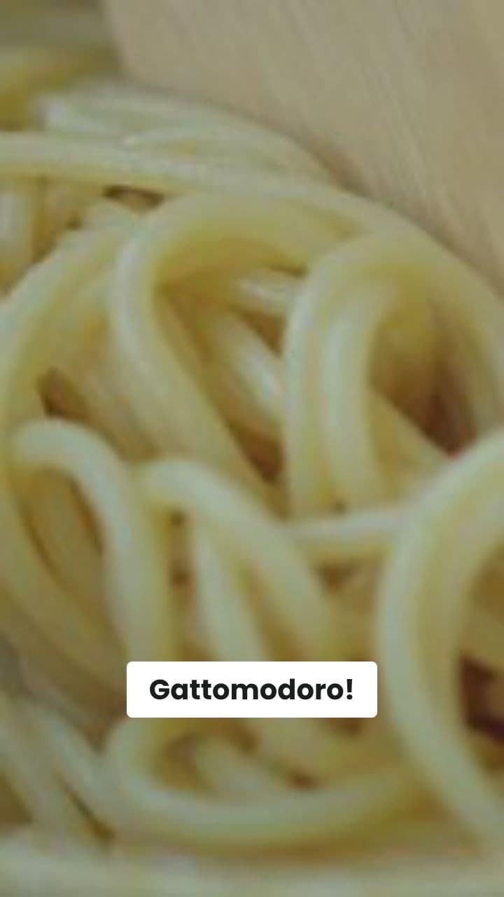 Gattomodoro: La Follia Incredibile