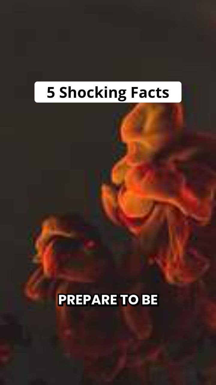 5 Shocking Facts