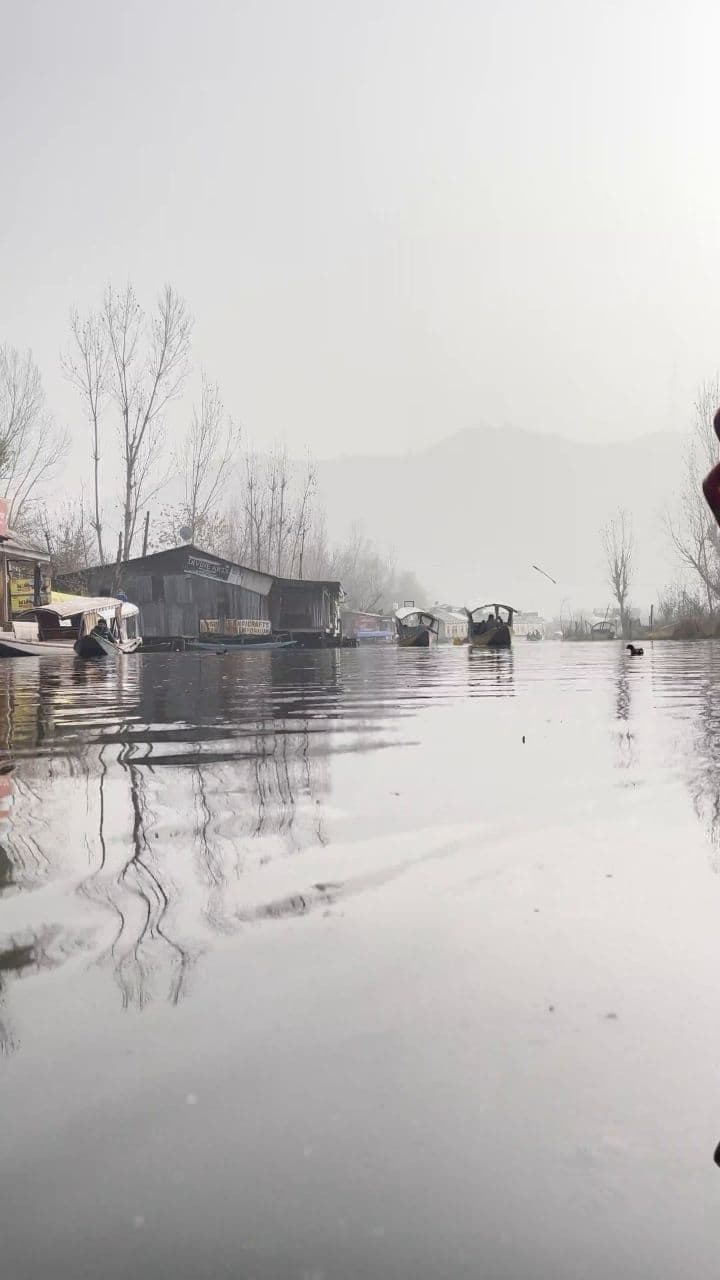 अपनी जिंदगी जीने की सफलता