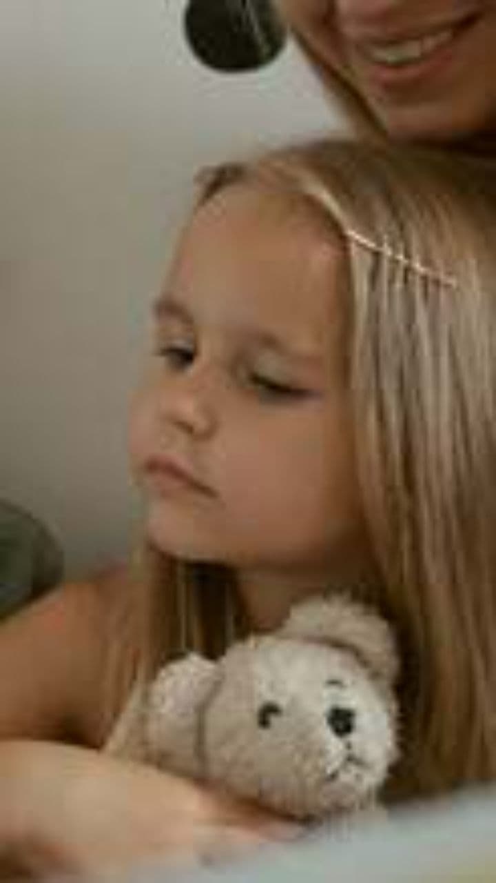 Nalle un boksa brīdis