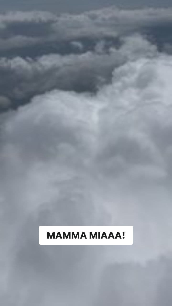 Il Mistero del Tordo-Limone Arrestato