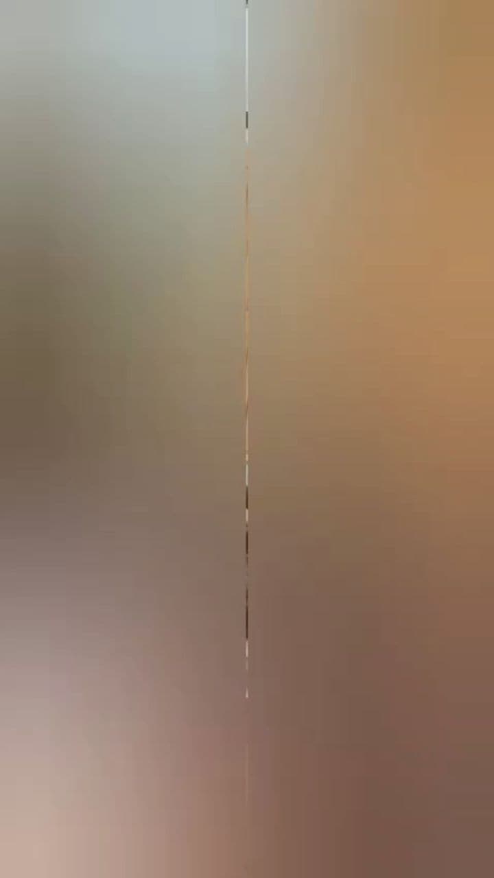 Budget-Friendly Himachal Group Tour