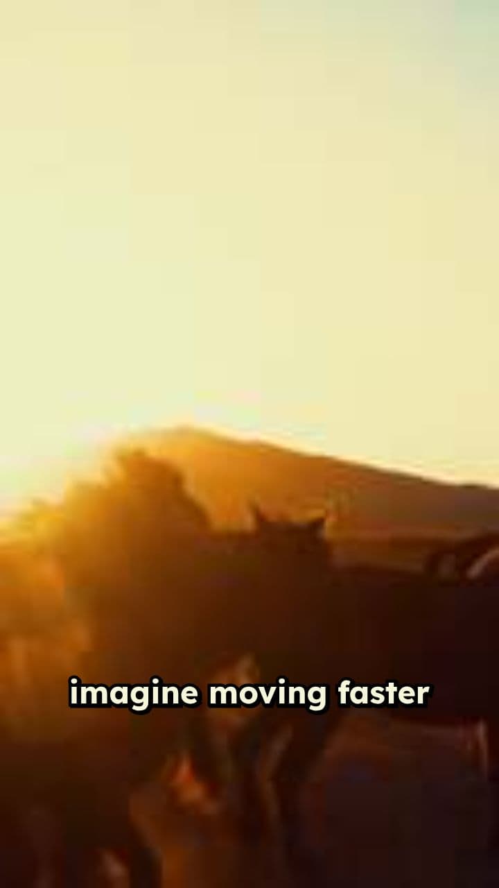 The Steam Train Revolution