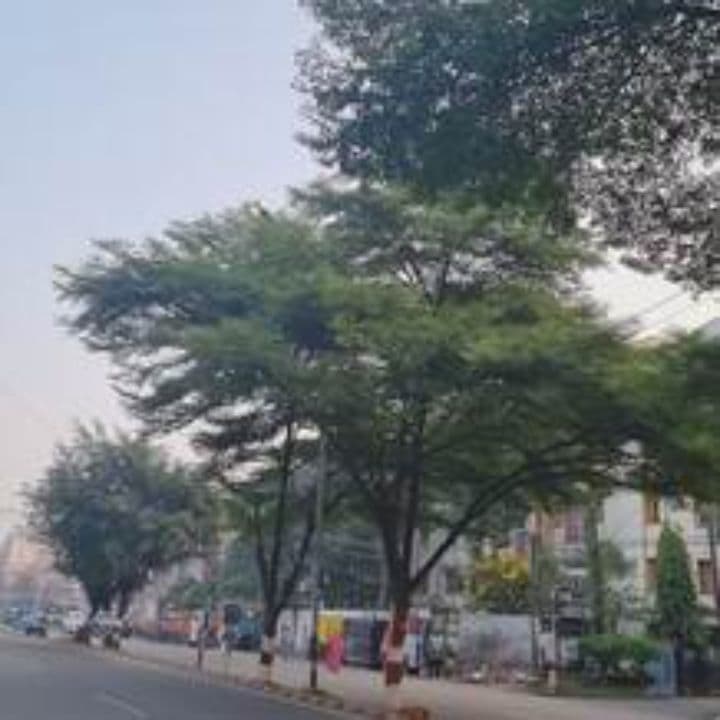 Secrets de la vila en estat de gràcia