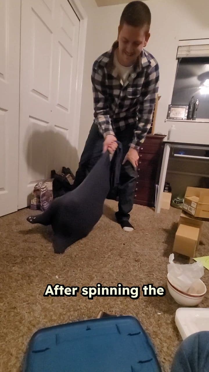 Bag Tossed Out the Window