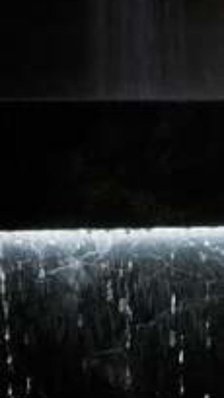 Taillights in the Rain