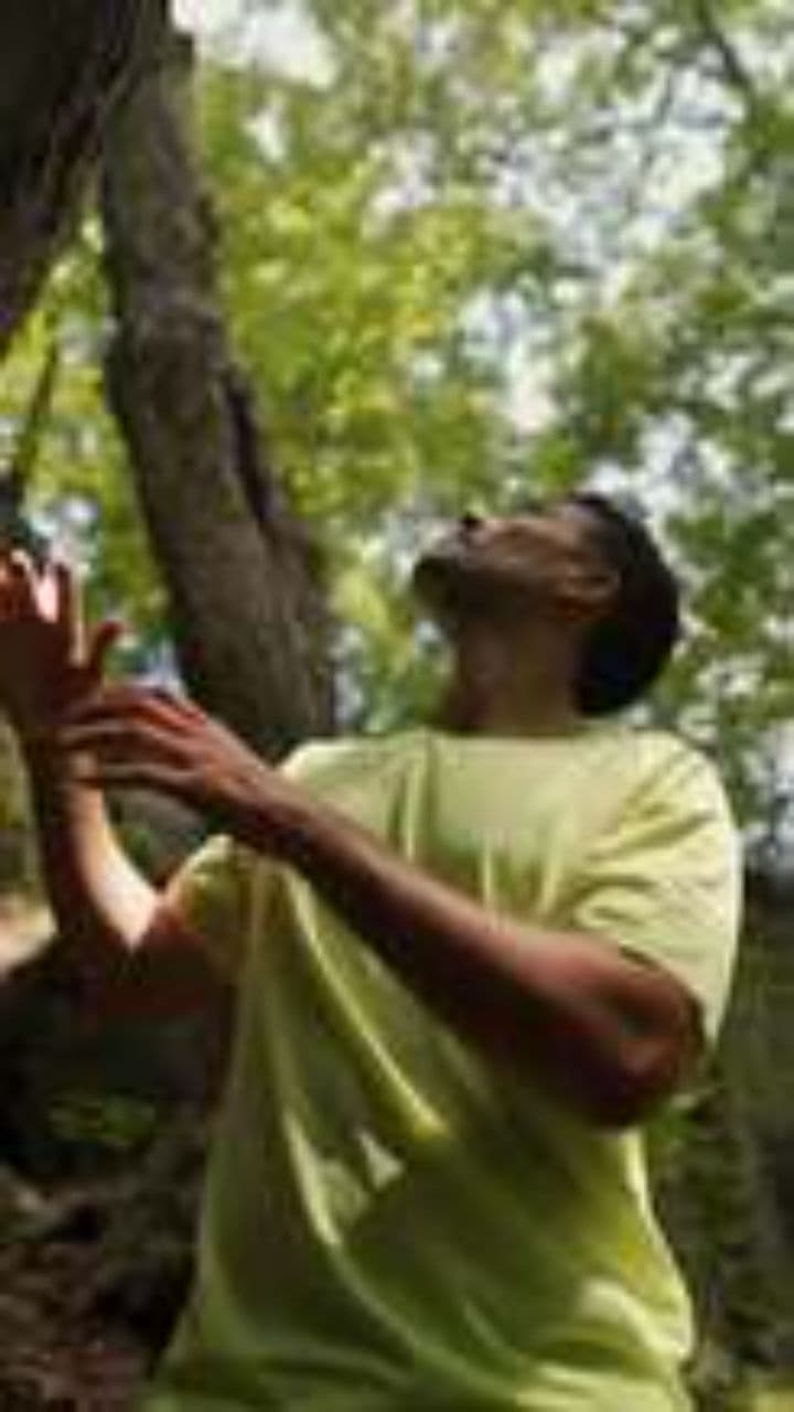 Renovação da Alma na Natureza