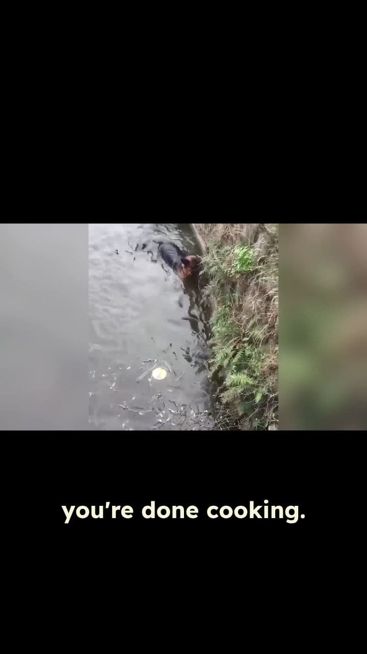 Interesting Highlight Segment 2