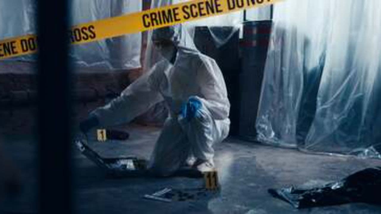 راز قتل رویا در پارک چیتگر