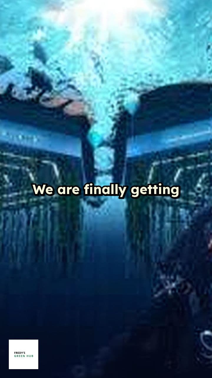 Floating City: A Flood-Proof Future