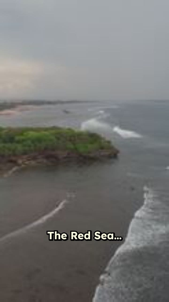 The Red Sea: Trade and Tension