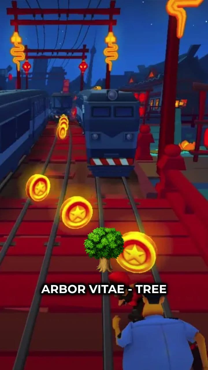 Brain Structure and Functions Overview