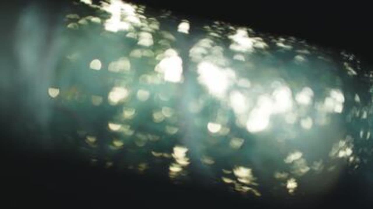 The Word Became Flesh