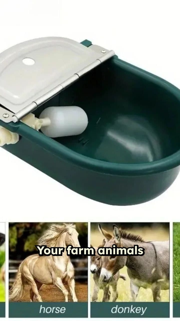 Automatic Water Bowl for Farm Animals