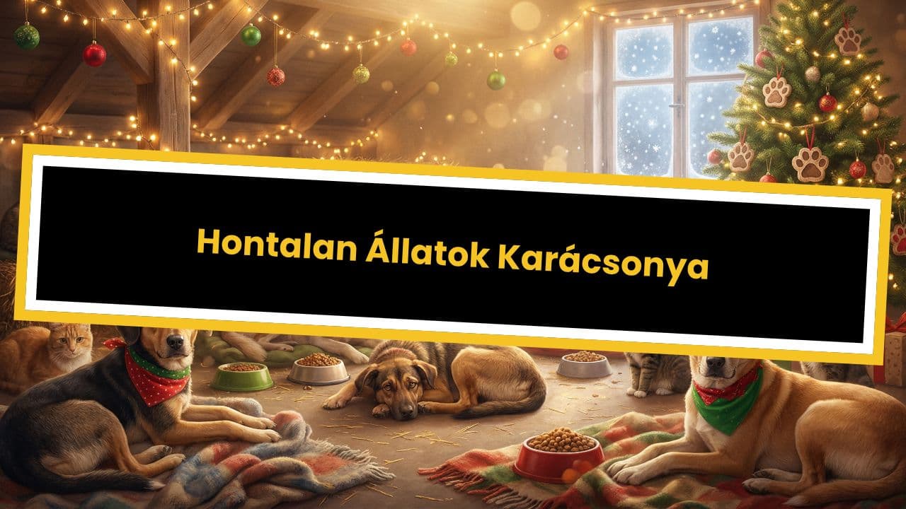 Hontalan Állatok Karácsonya