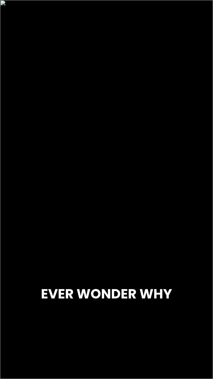 The Wild World of Dreams