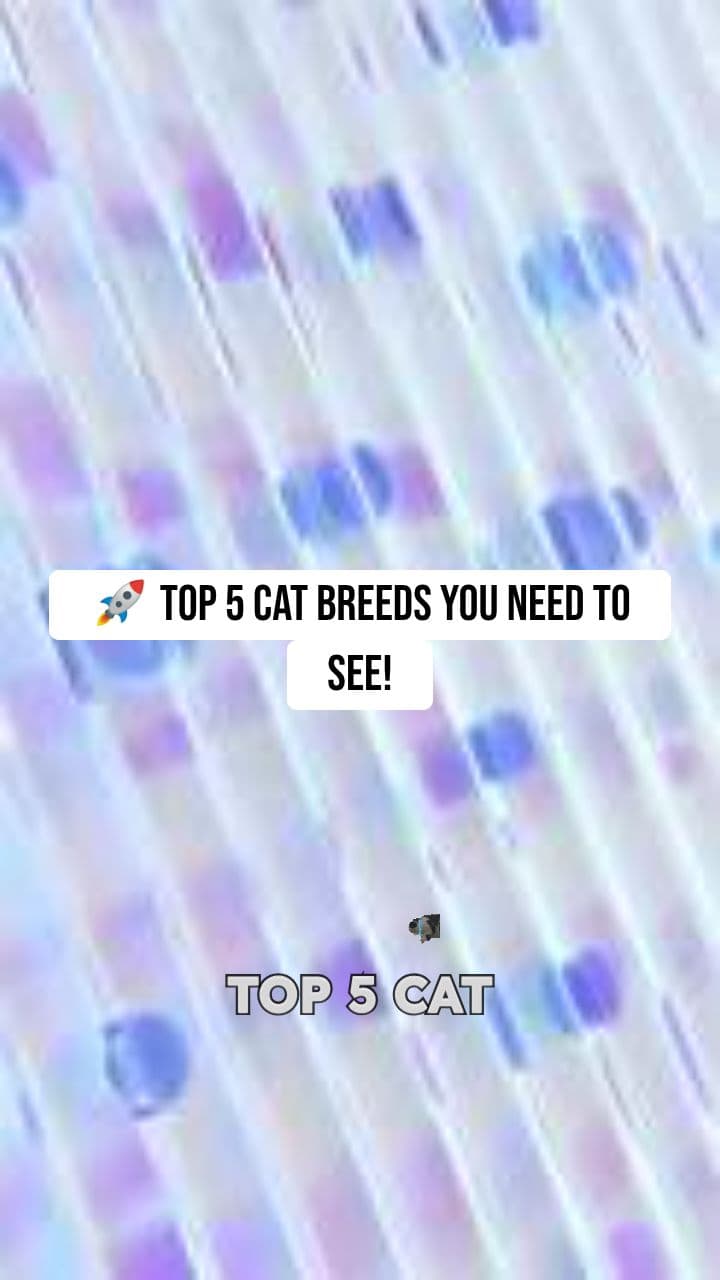 Top 5 Cat Breeds
