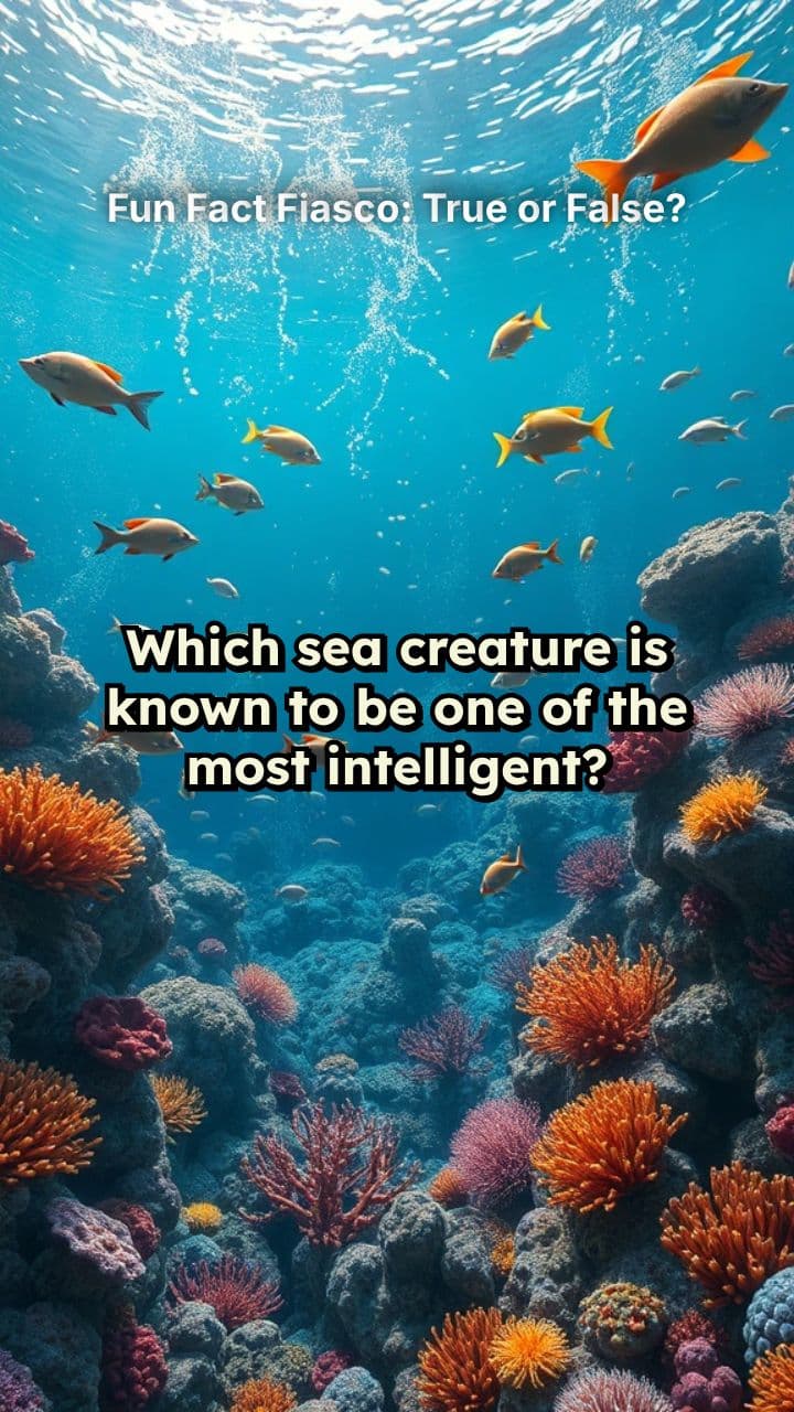 Fun Fact Fiasco: True or False?