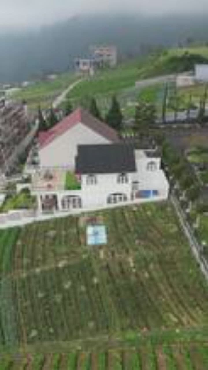 What Makes an Ingredient a Legend?