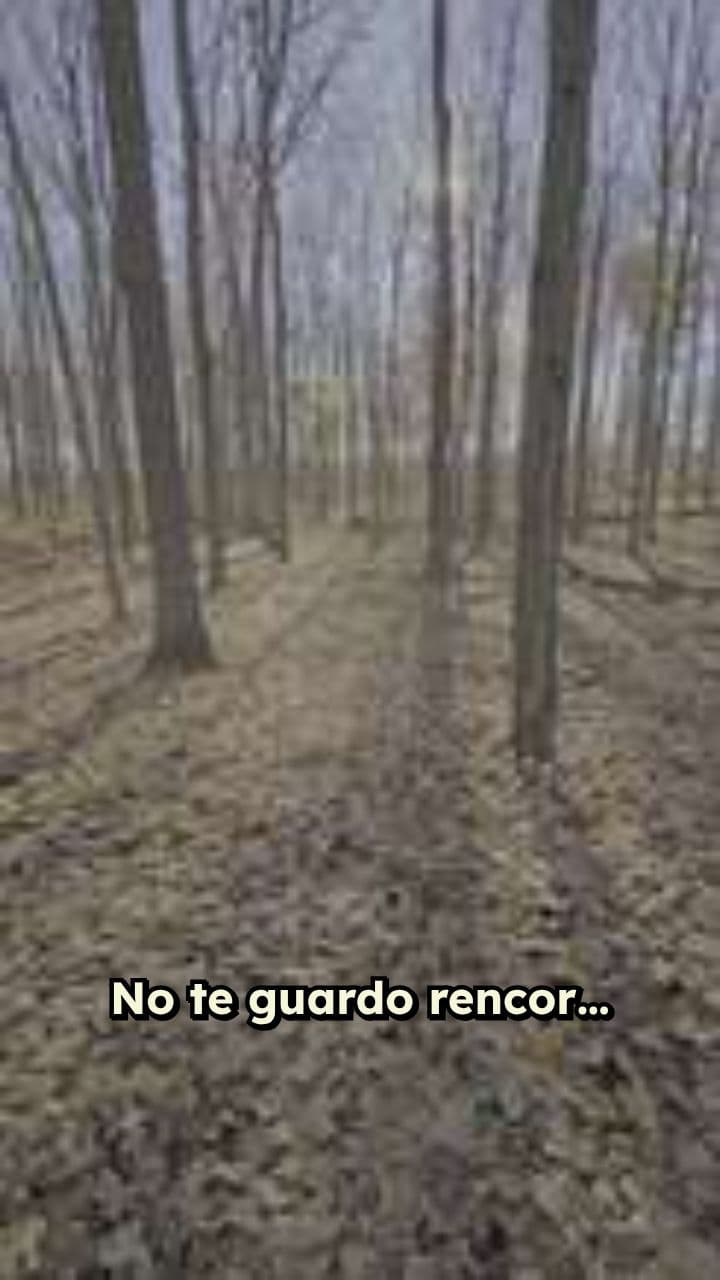 Dejé ir lo que no supo valorar