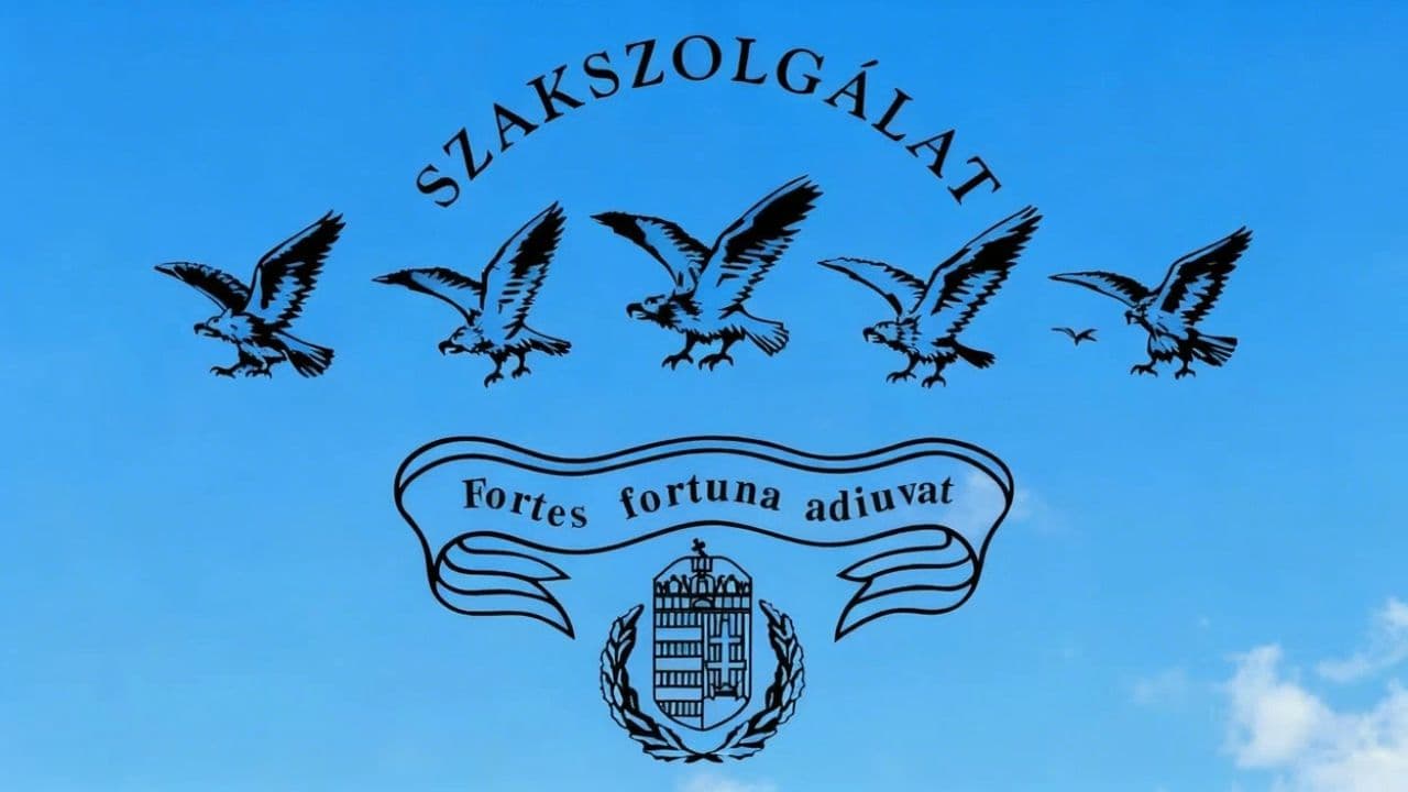 Image transform video