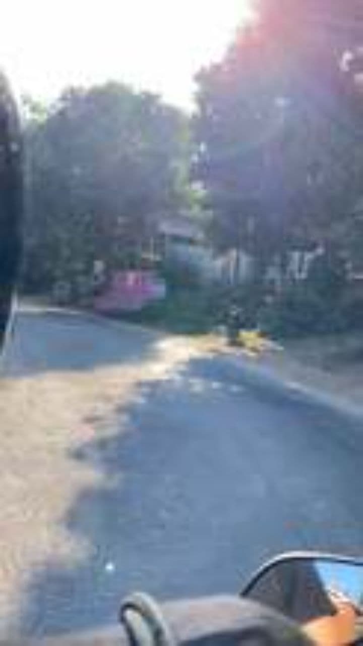 रोड लाइन्स और सेफ्टी नियम