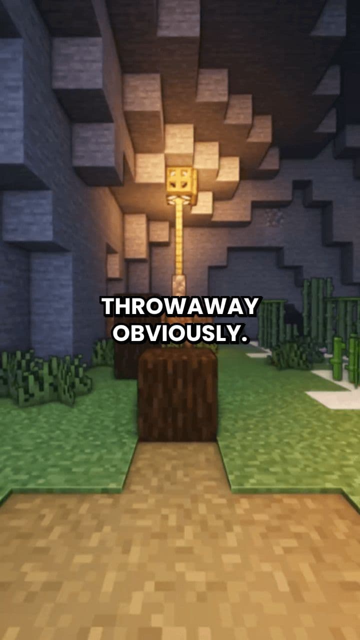 Unconventional Habits in Privacy