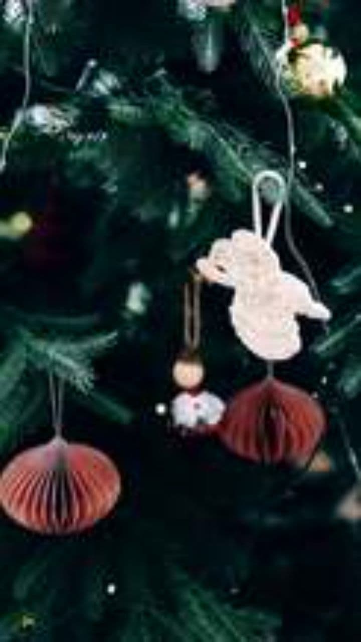 Unforgettable Holiday Gift Experience