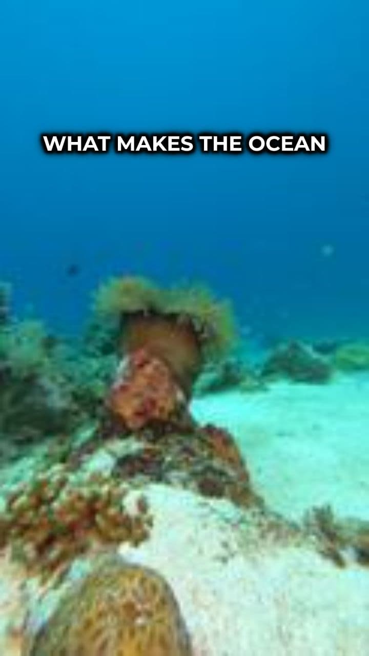 The True Source of Ocean Salinity