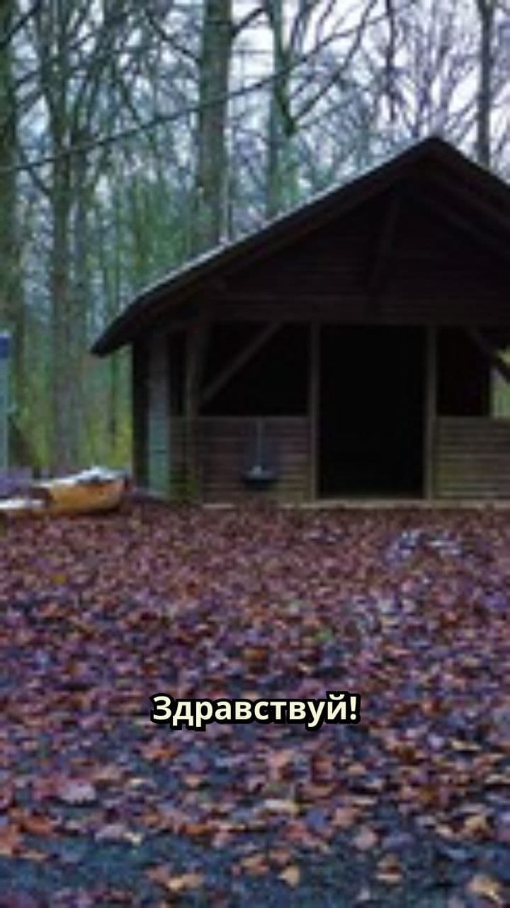 Ded Moroz New Year Greeting