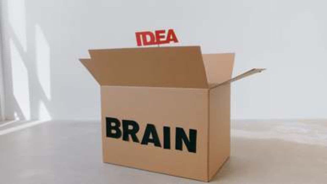 W poszukiwaniu harmonii i sensu