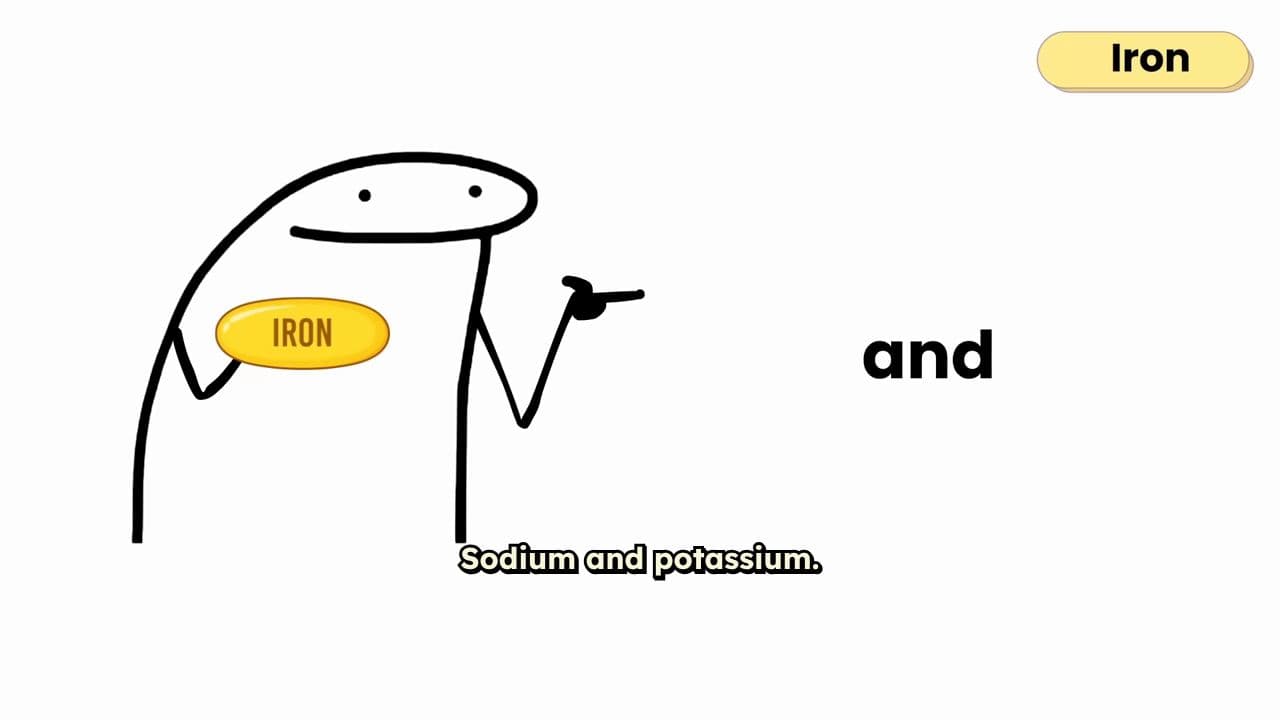 Your Body's Main Electrical System