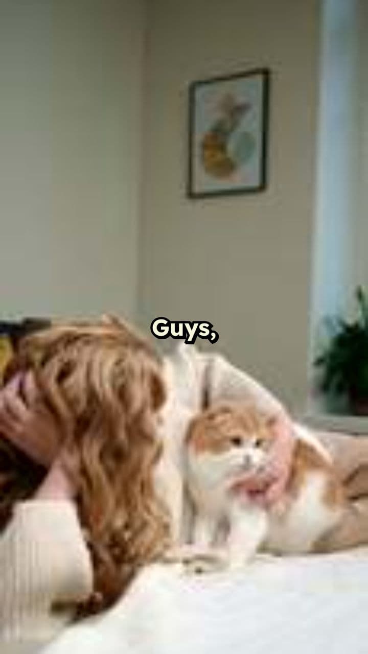 La cama para mascotas más adorable