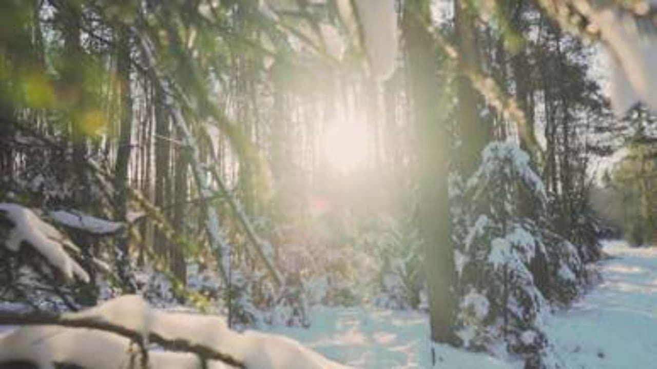 Grateful for December's Chaos