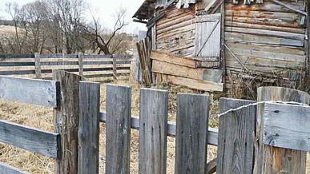 Mijn hart ligt in Oostende
