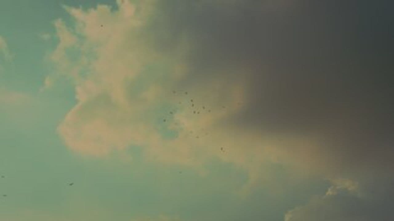 Danse avec les anges