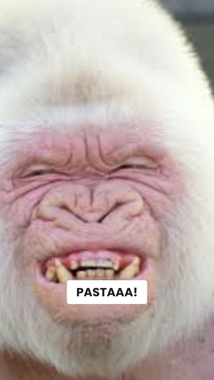 Gorisnello vs. Spaghetti Kick