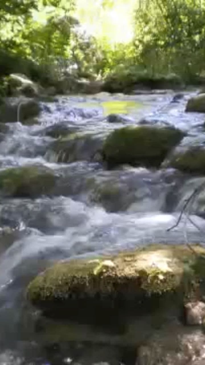 Quelli che vale la pena di amare veramente