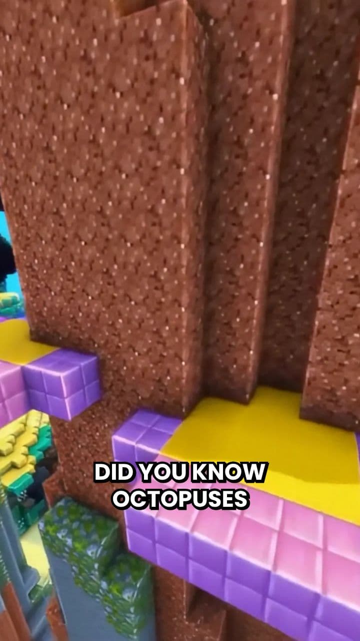 Octopuses: Three Hearts, Blue Blood