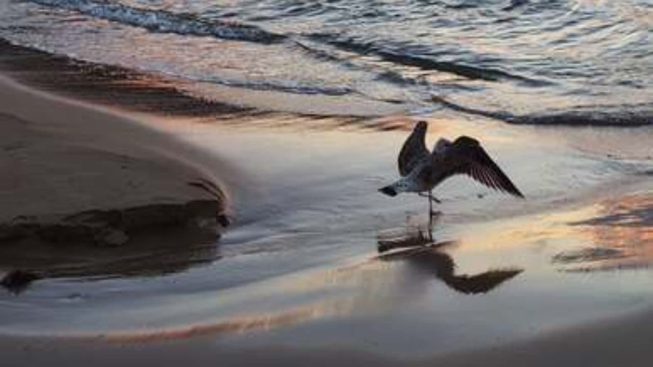 Merci pour ta fidélité