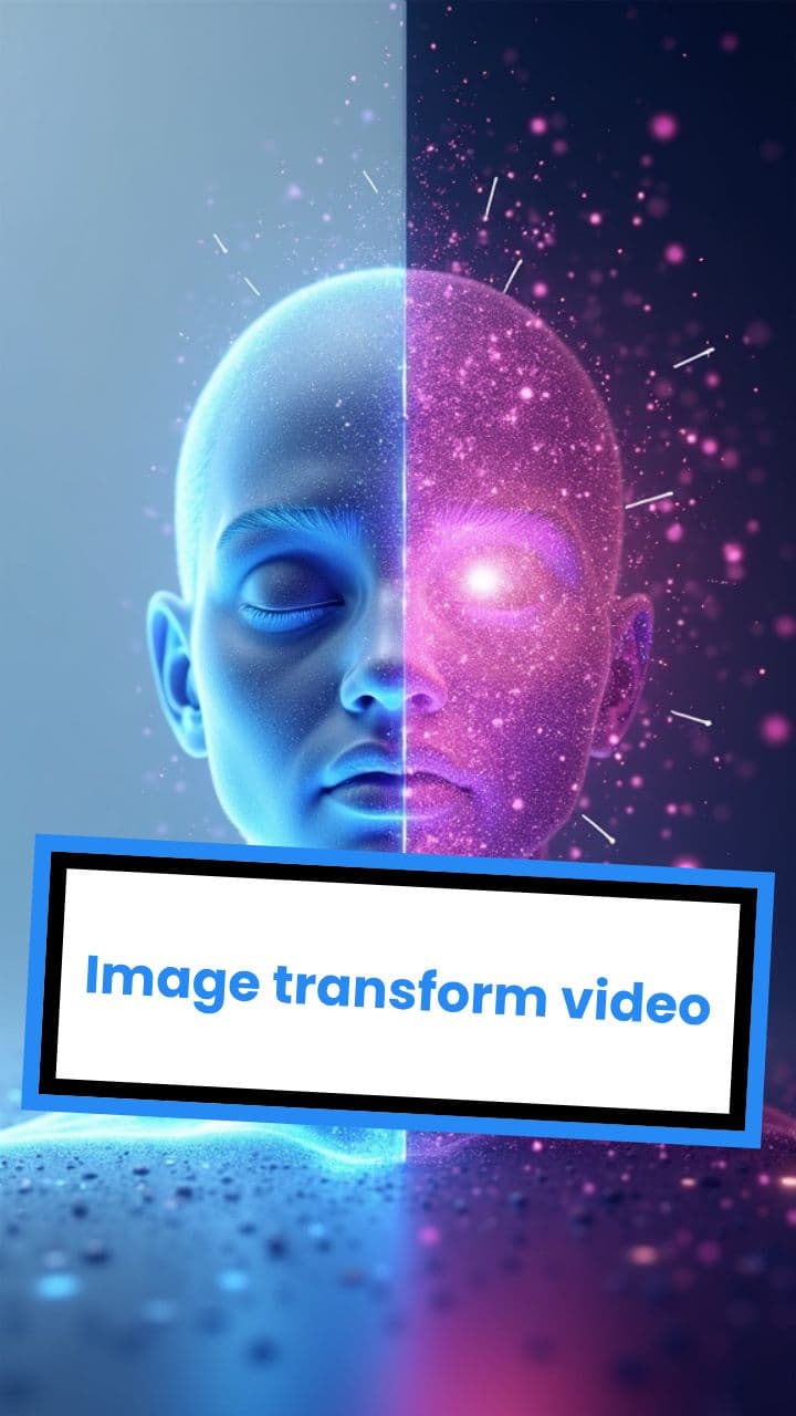 Image transform video