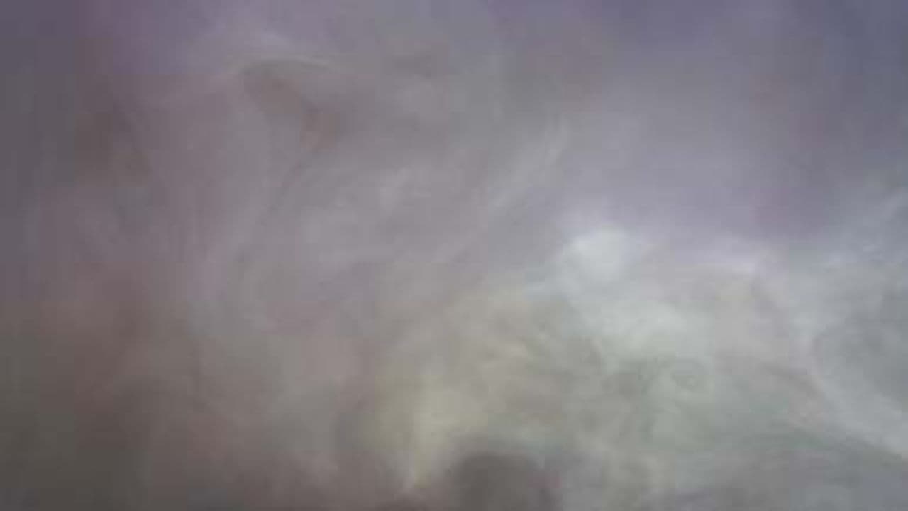 Apocalypse or Psychosis