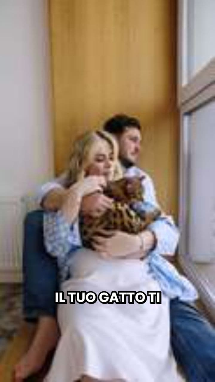 Segni di fiducia del tuo gatto